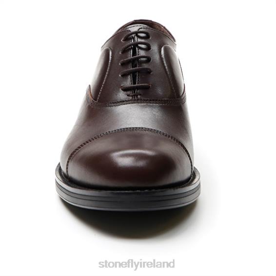 B6RB349 CARNABY 1 CALF LTH Dark Brown Stonefly Men Shoes